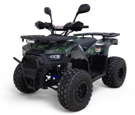 Квадроцикл MOTAX Grizlik D125